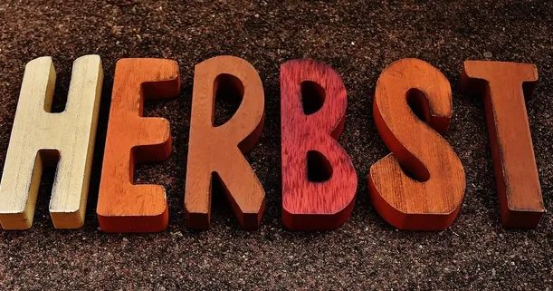 Ejemplo de dos letras dibujadas a mano. No son clones