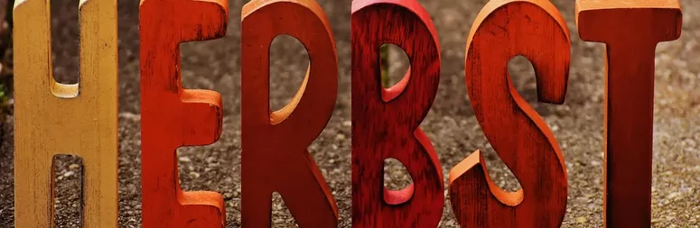 Ejemplos de lettering digital